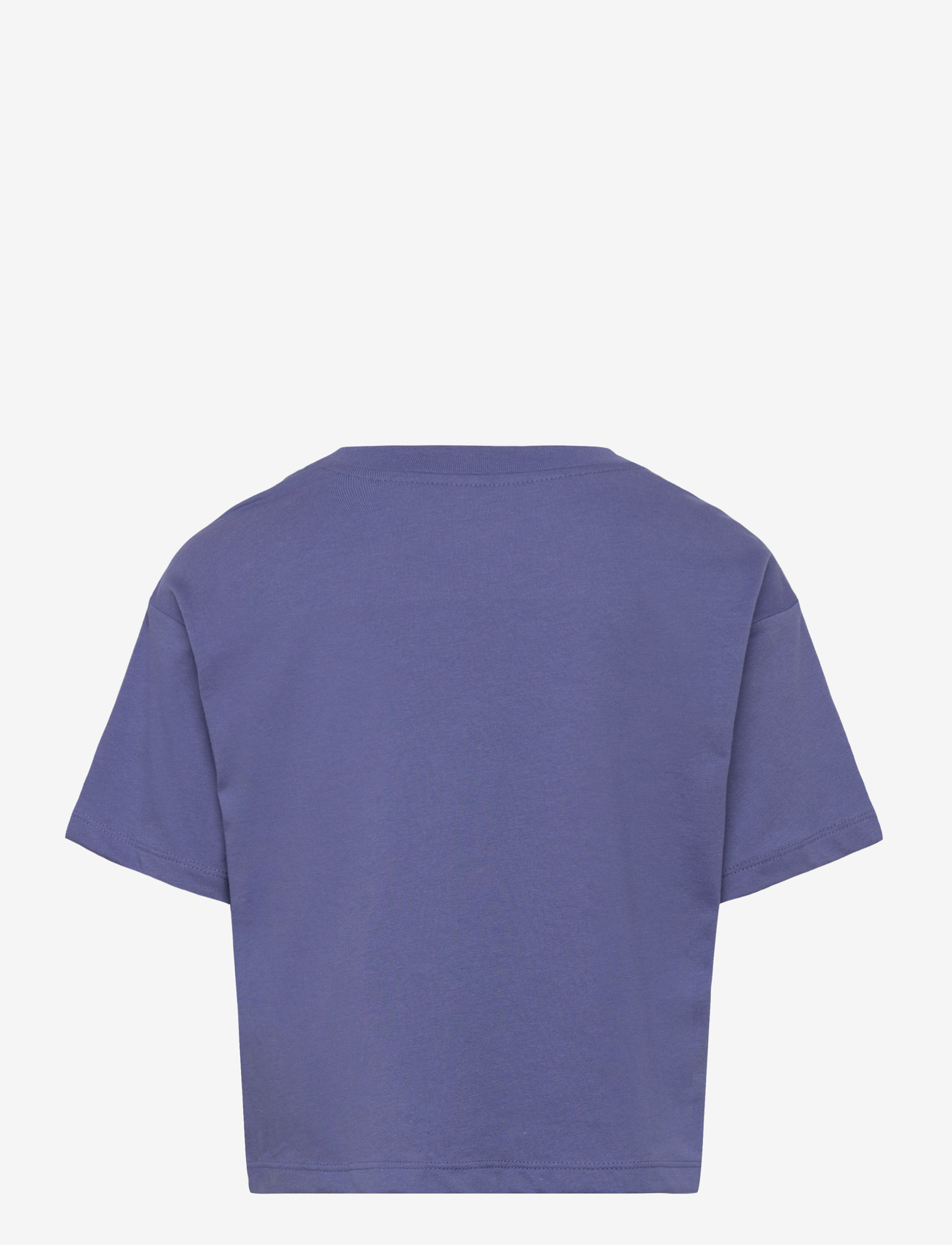 Converse - CNVG S/S DISSECTED CTP T-SHIRT - kortærmede t-shirts - blue - 1