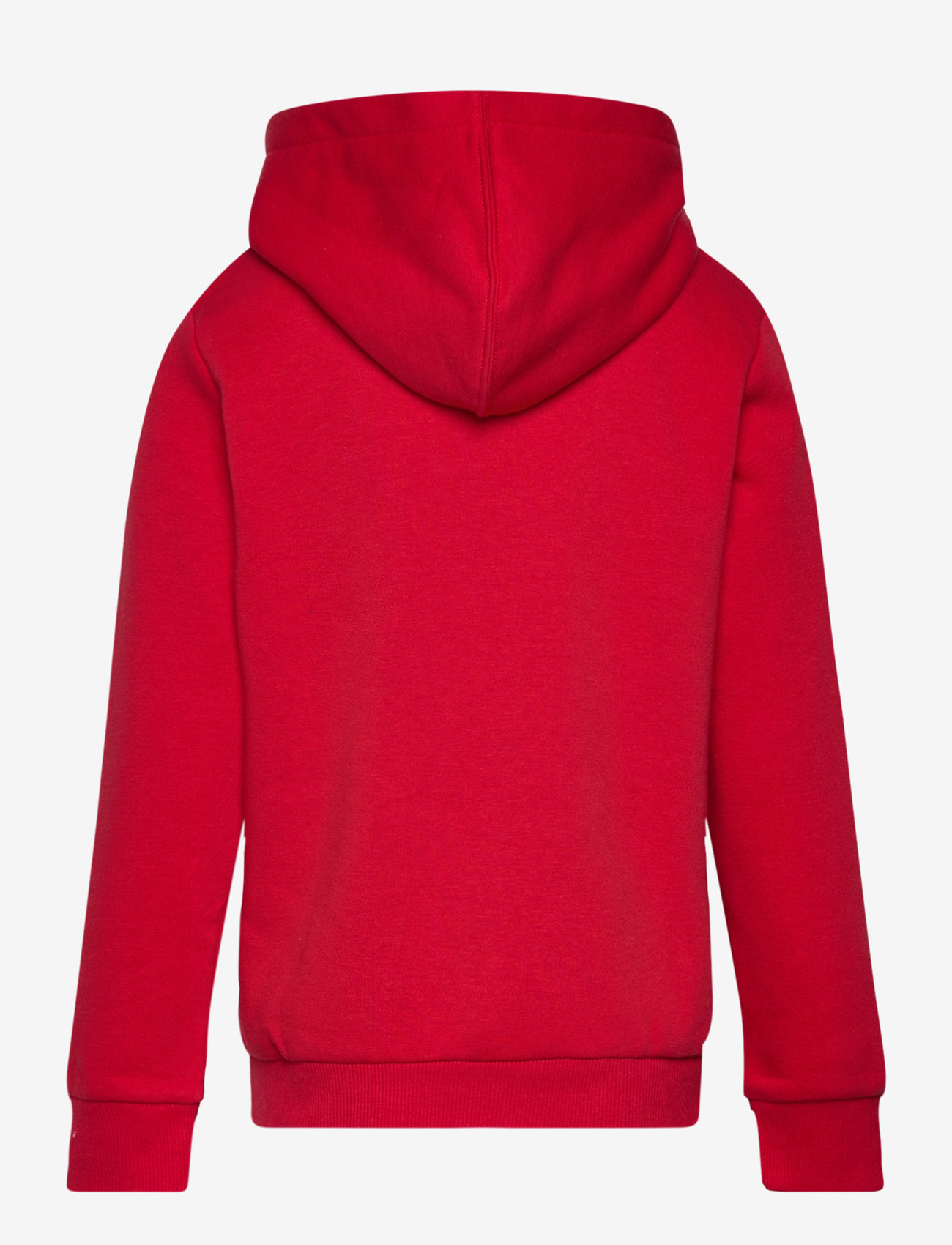 Converse - PO-PULL-OVER HOODY - kapuutsiga dressipluusid - university red - 1