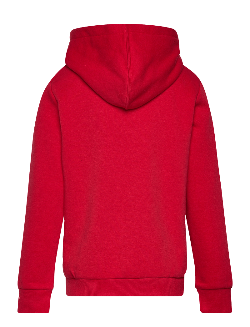 Converse - PO-PULL-OVER HOODY - kapuutsiga dressipluusid - university red - 1