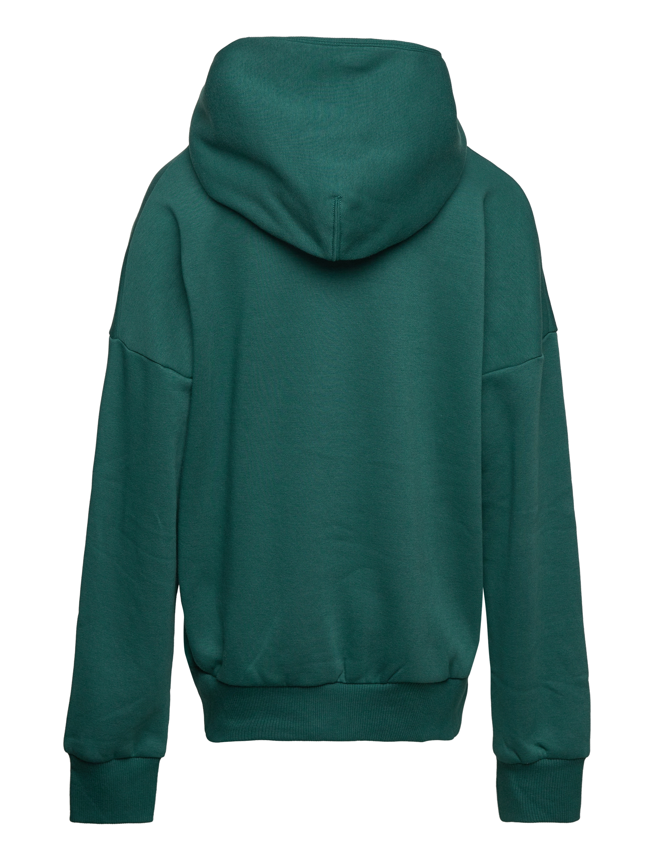 Converse - CNVN RELAXED FLC PO HOODIE / RELAXED FLC PO HOODIE - dragon scale - 1