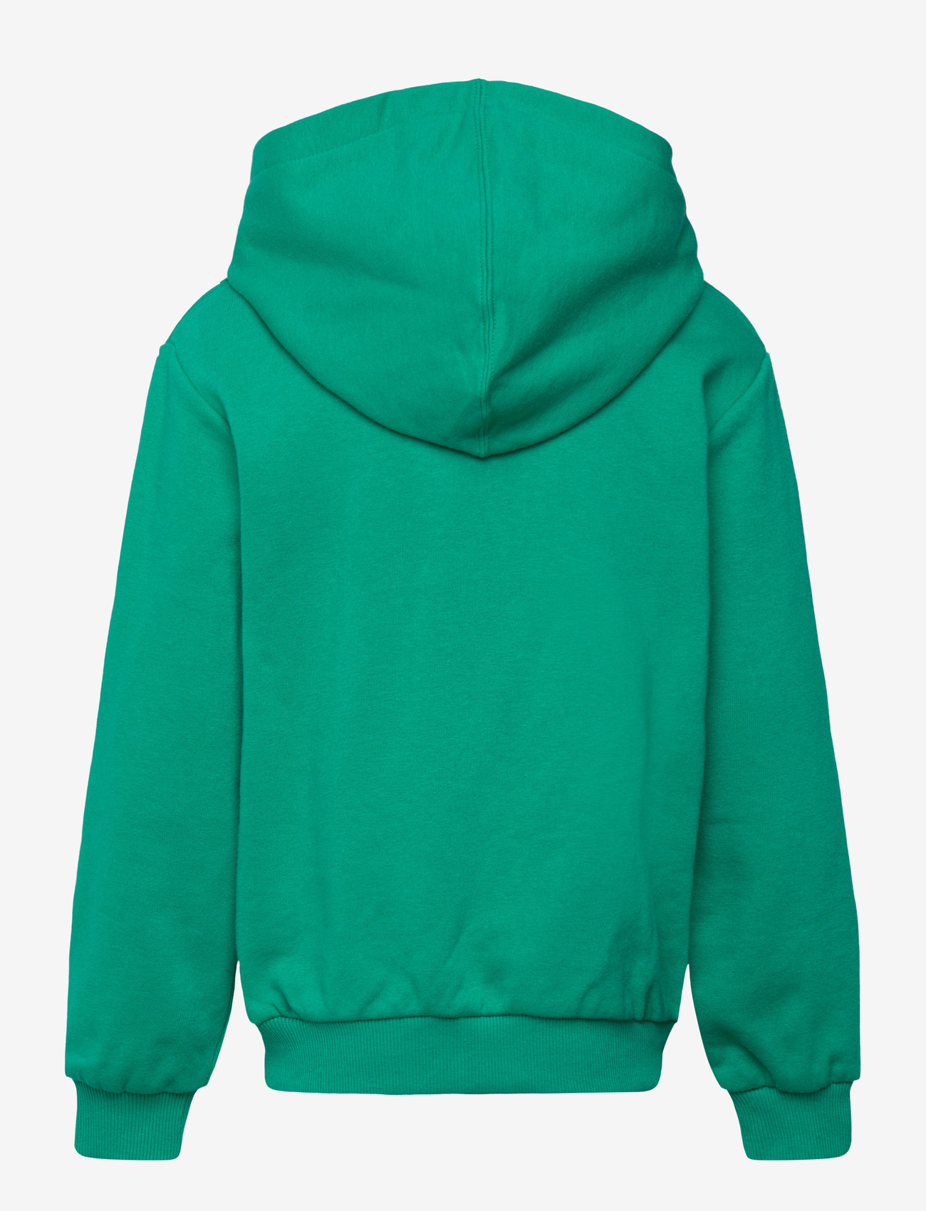 Converse - PULL-OVER HOODY - hoodies - lizard breath - 1