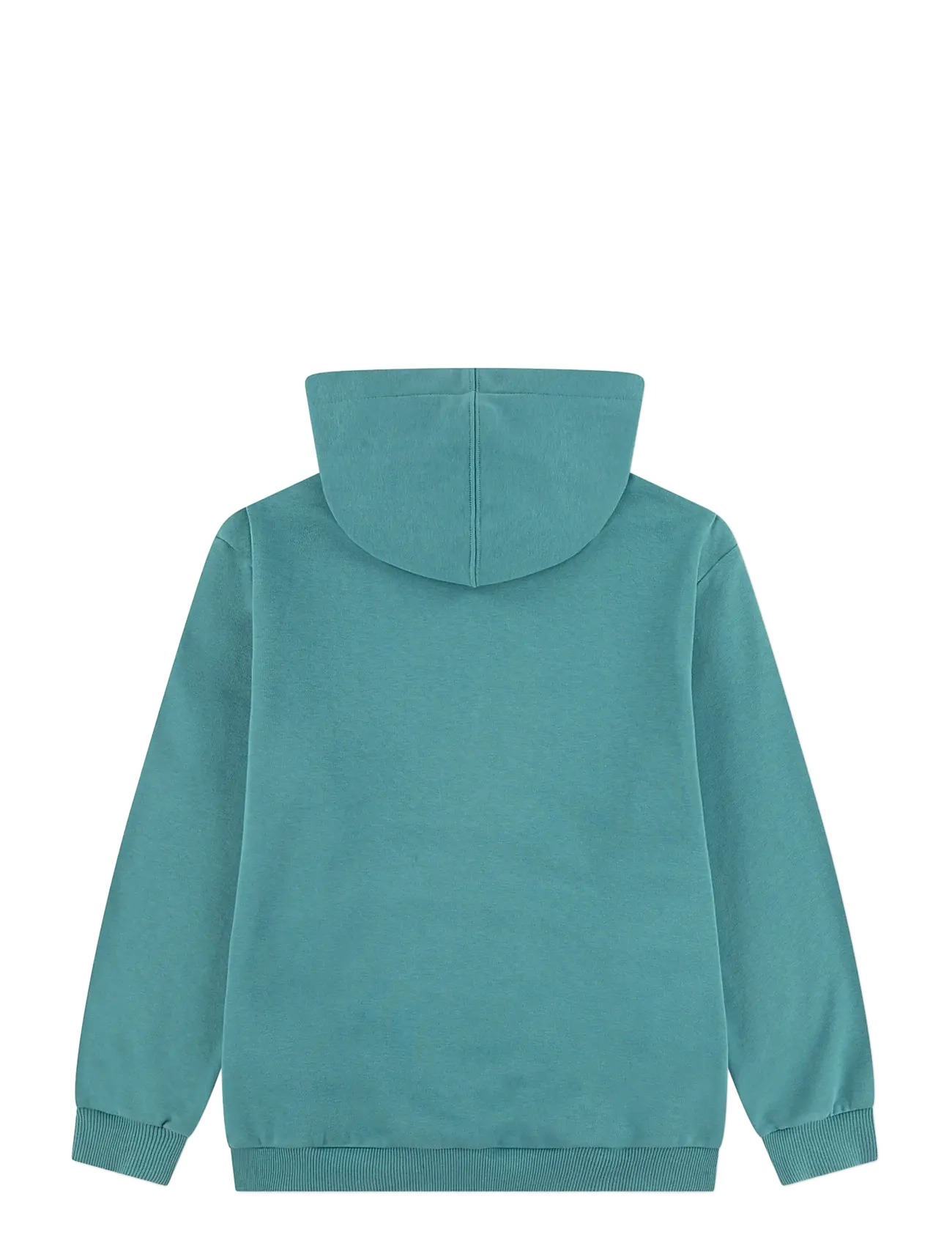 Converse - PULL-OVER HOODY - hættetrøjer - lizard breath - 1
