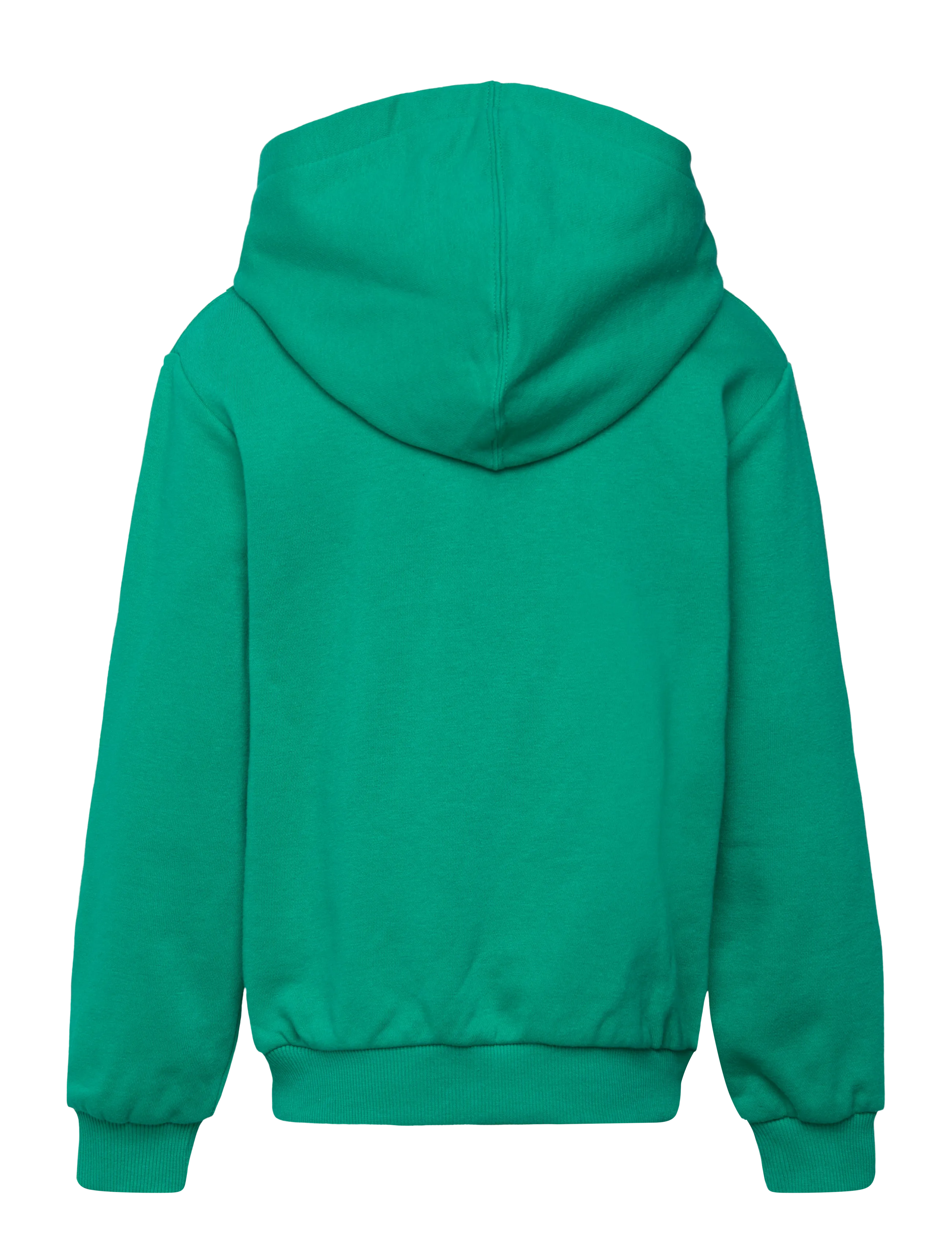 Converse - PULL-OVER HOODY - hoodies - lizard breath - 1