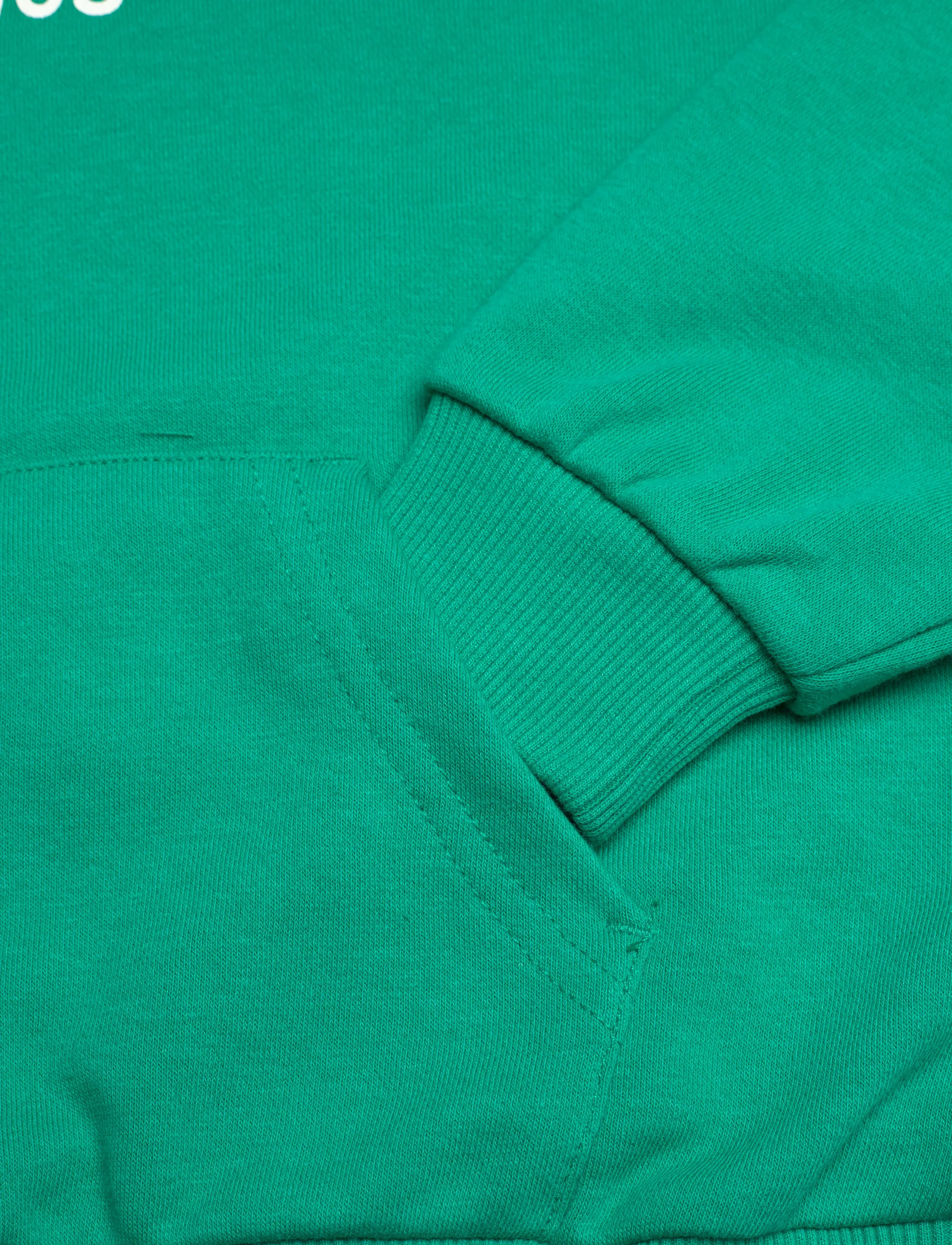 Converse - PULL-OVER HOODY - hoodies - lizard breath - 3