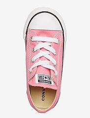 Converse - Chuck Taylor All Star - canvas-sneaker - pink - 3