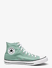 Converse - Chuck Taylor All Star - baskets montantes - herby - 1