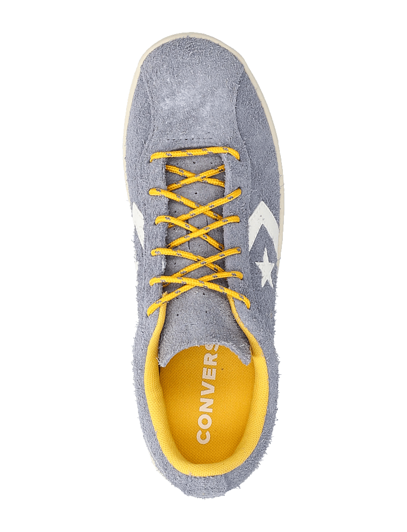 Converse - All Star Classic Trainer - niedriger schnitt - thunder whale/gold palm/egret - 3
