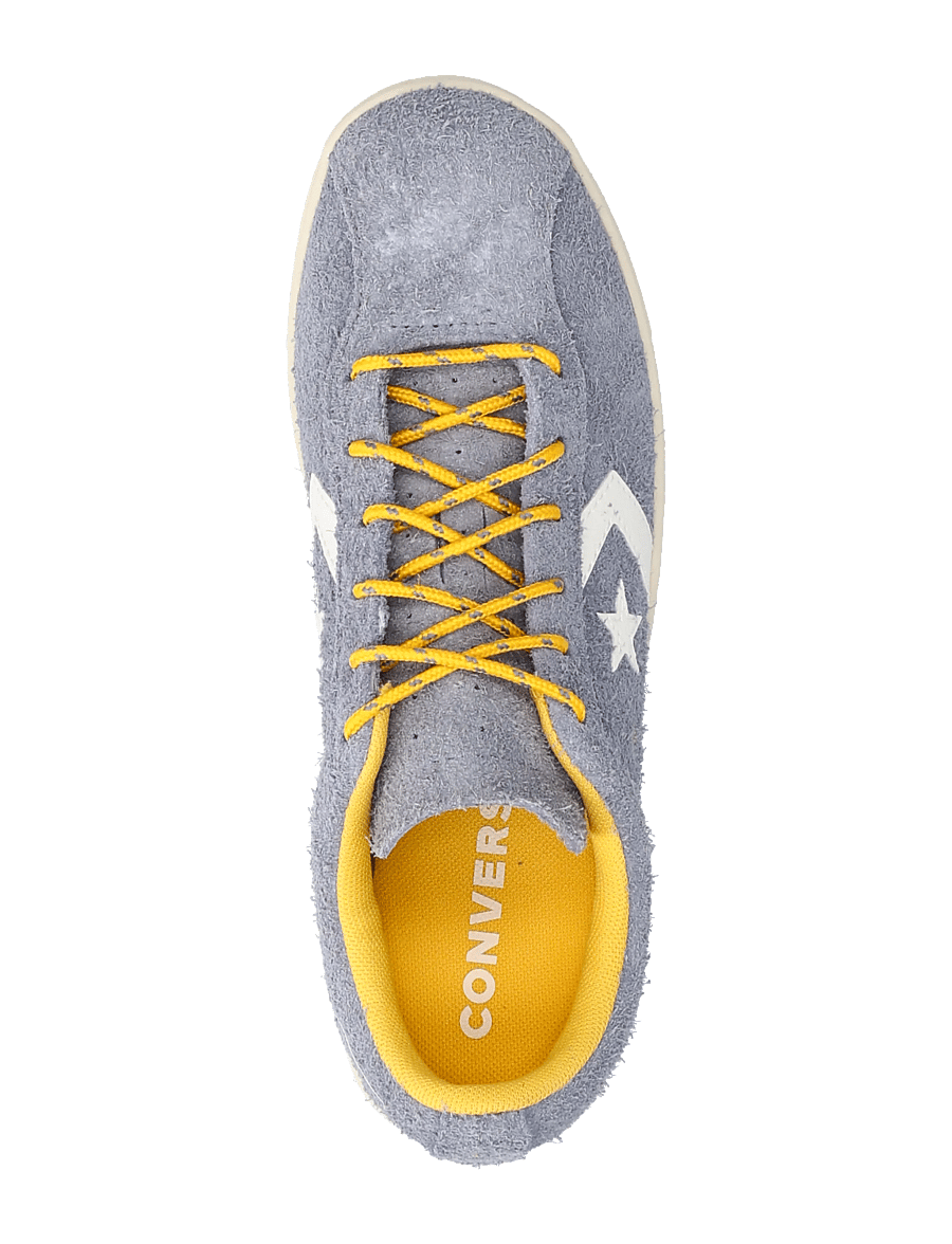 Converse - All Star Classic Trainer - niedrige sneakers - thunder whale/gold palm/egret - 3