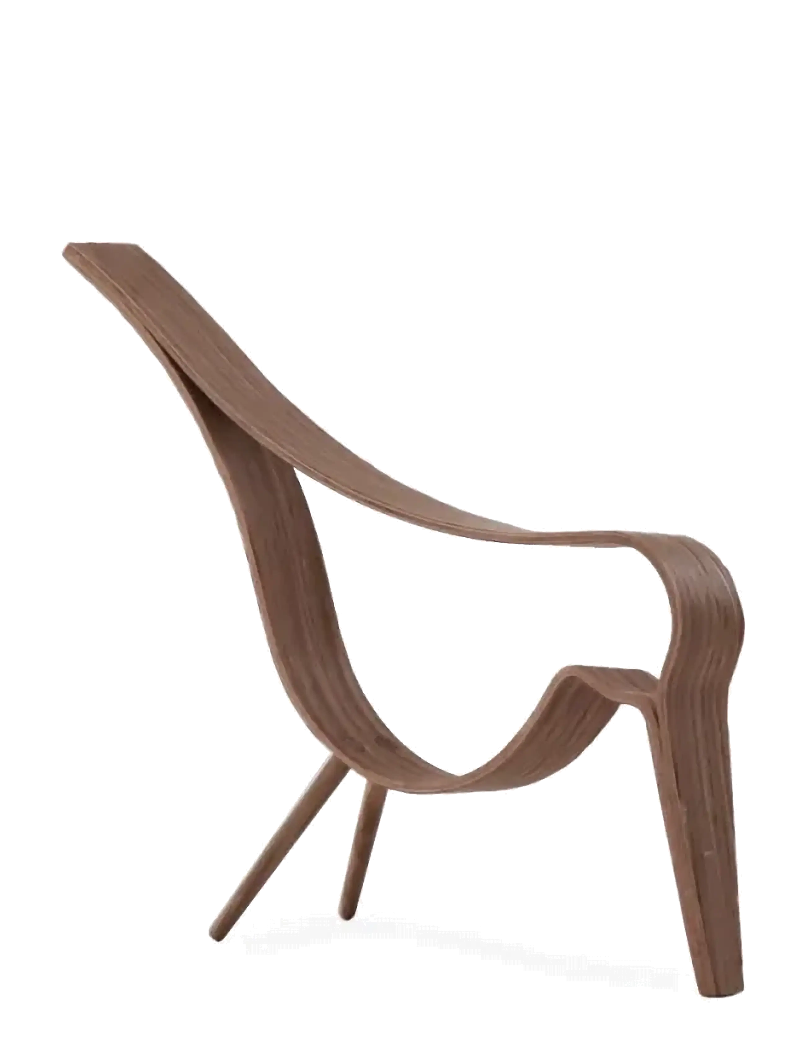 COOEE DESIGN Woody Bird Dunkel Oak Medium Braun - One Size - Unisex