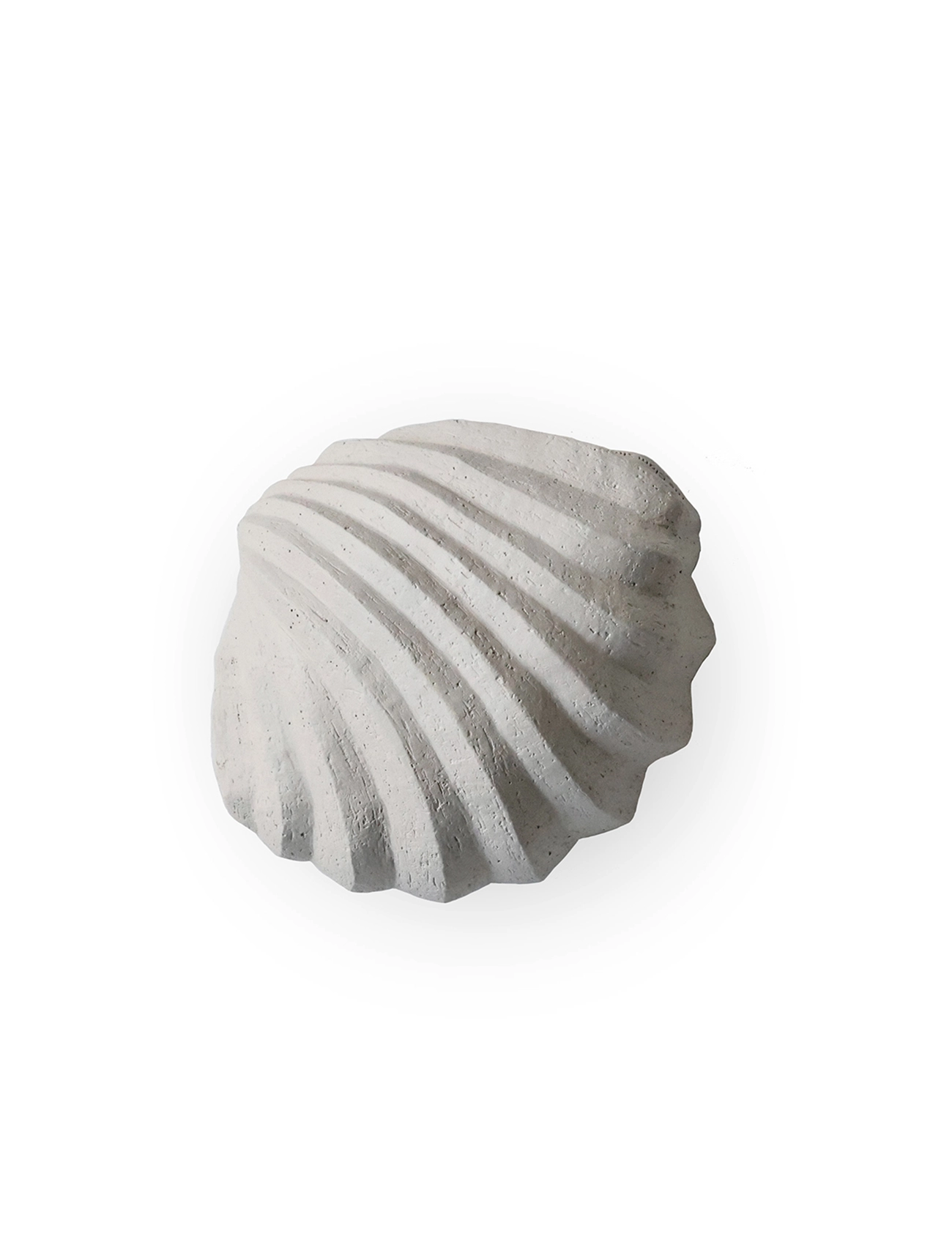 Cooee Design Sculpture The Clam Shell Coal - Cooee Design - LIMESTONE / cream