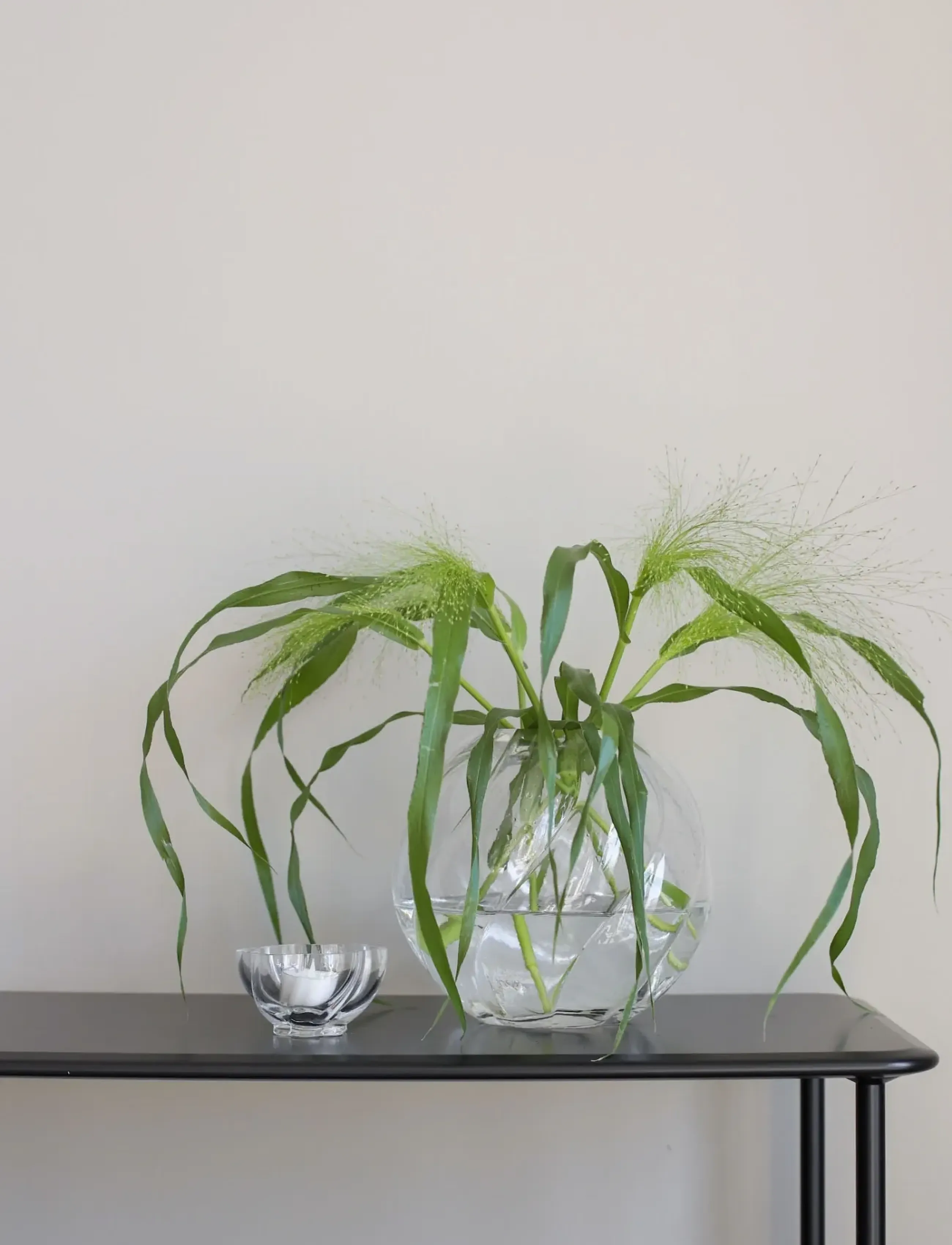Cooee Design - Twist Tealight Glass - teelichthalter - clear - 3