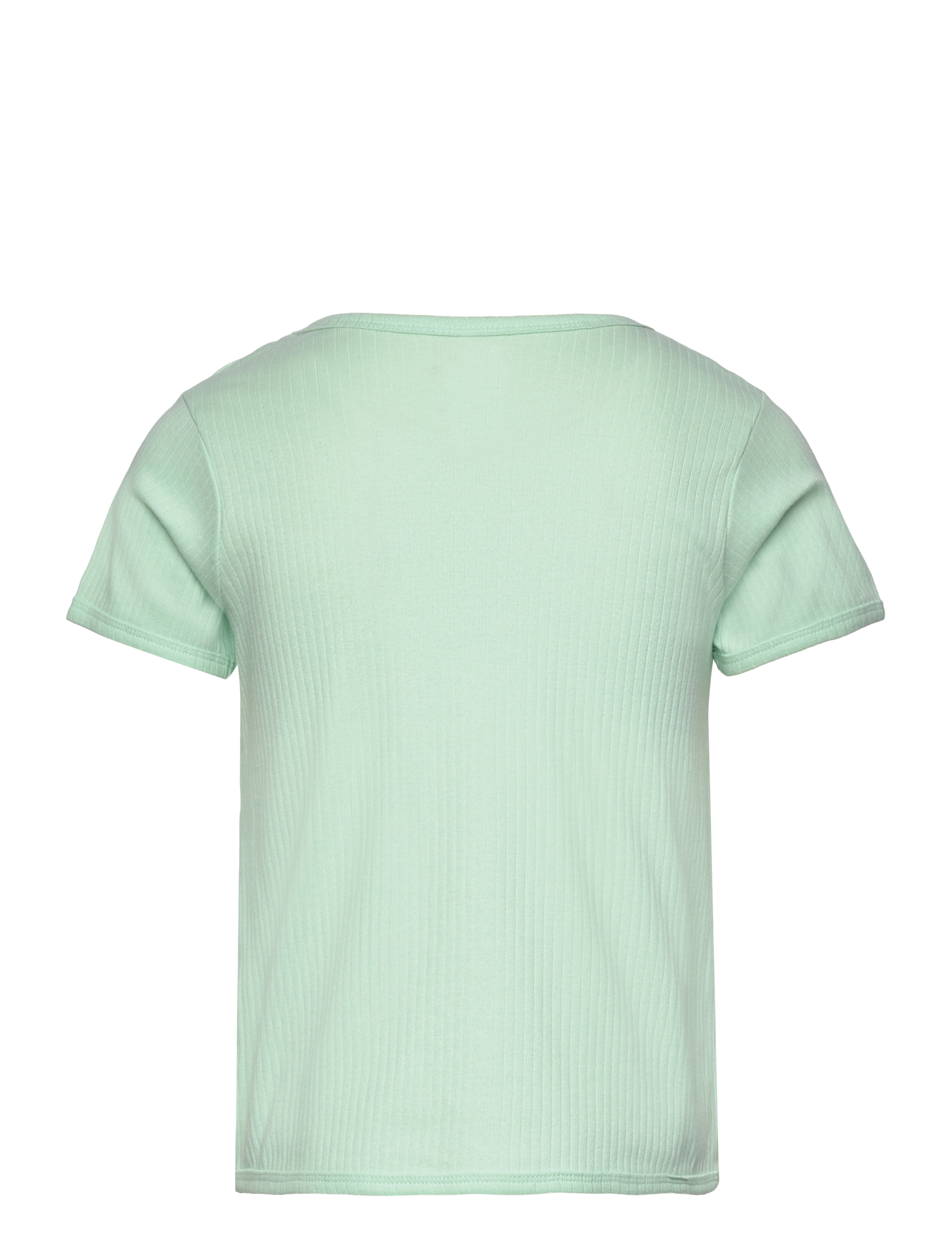 Copenhagen Colors - RIB JERSEY T-SHIRT - mint - 1