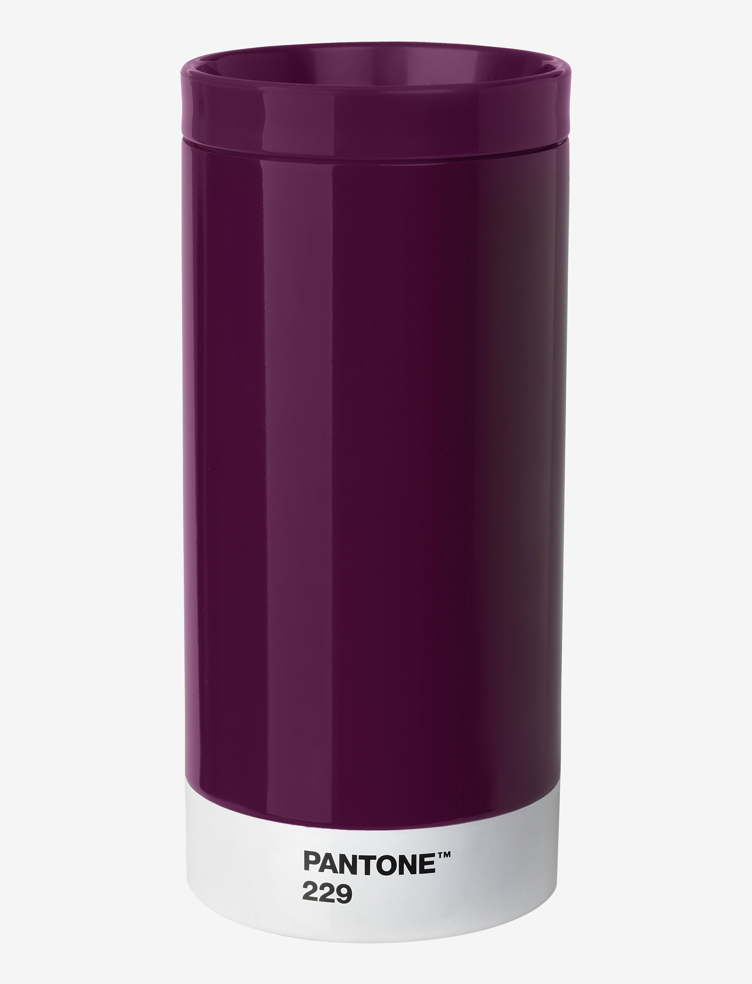 AUBERGINE 229 C