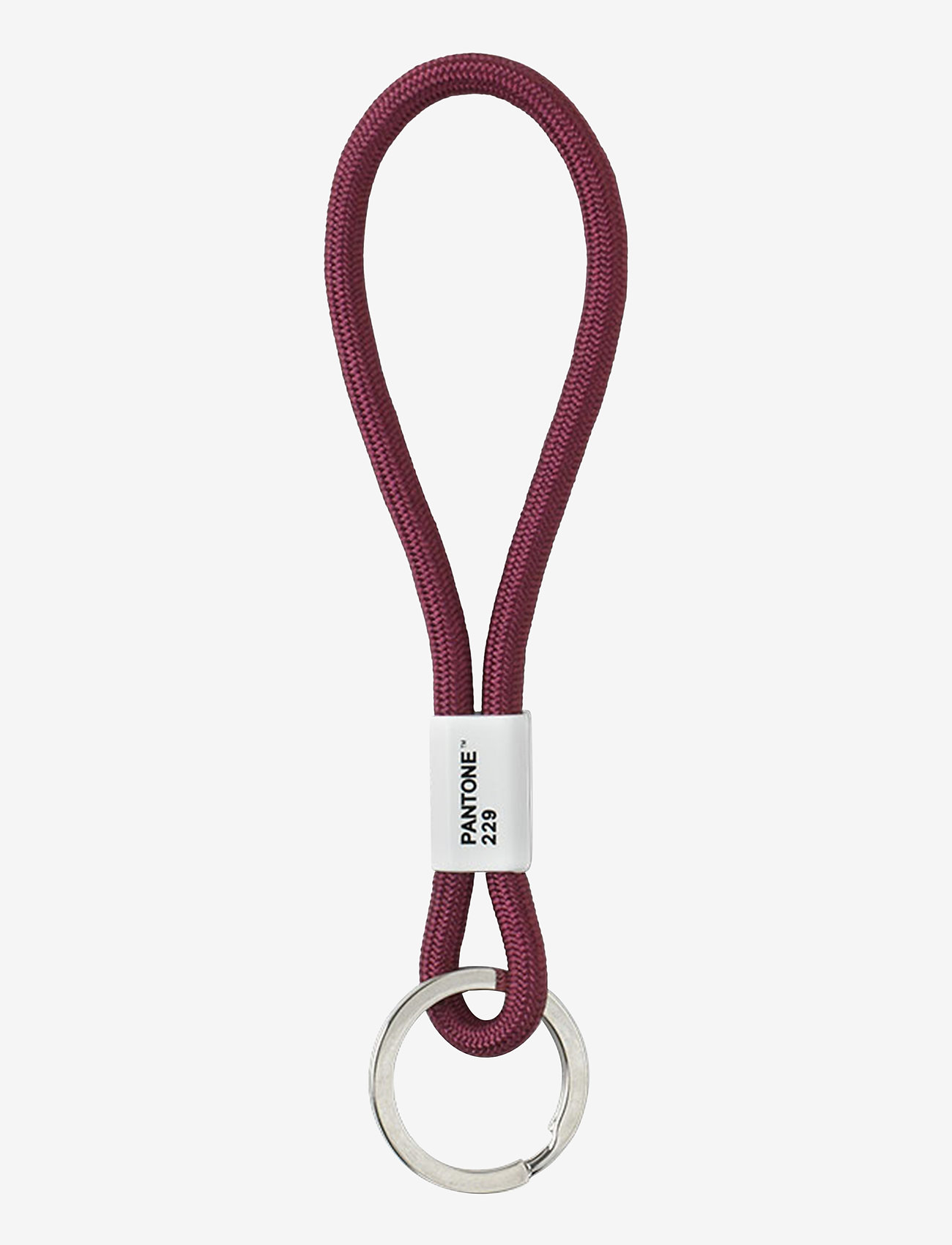 PANTONE - KEY CHAIN SHORT - schlüsselringe - aubergine 229 - 0