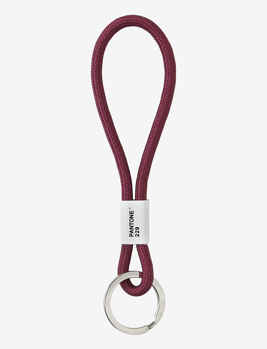 PANTONE - KEY CHAIN SHORT - key rings - aubergine 229 - 0