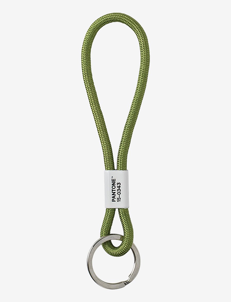 PANTONE - KEY CHAIN SHORT - key rings - green 15-0343 - 0