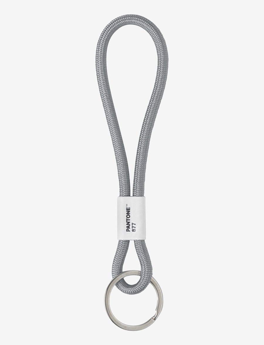 PANTONE - KEY CHAIN SHORT - sleutelringen - silver 877 c - 0