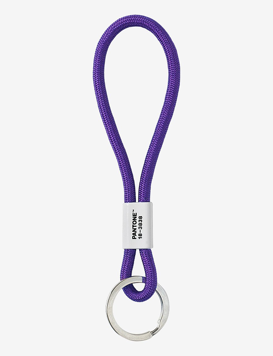 PANTONE - KEY CHAIN SHORT - key rings - ultra violet 18-3838 (coy18) - 0