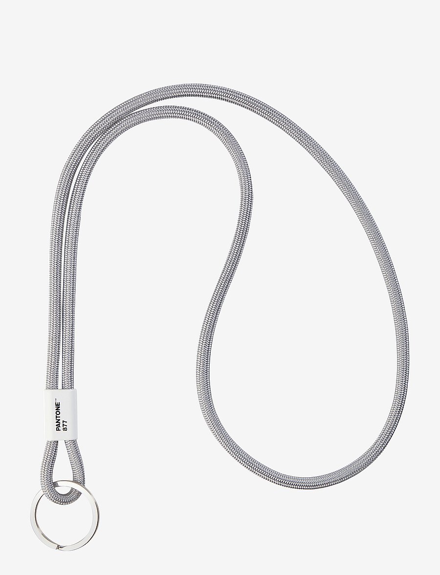 PANTONE - KEY CHAIN LONG - avaimenperät - silver 877 c - 0