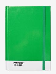 PANTONE NOTEBOOK S DOTTED - GREEN 16-6340