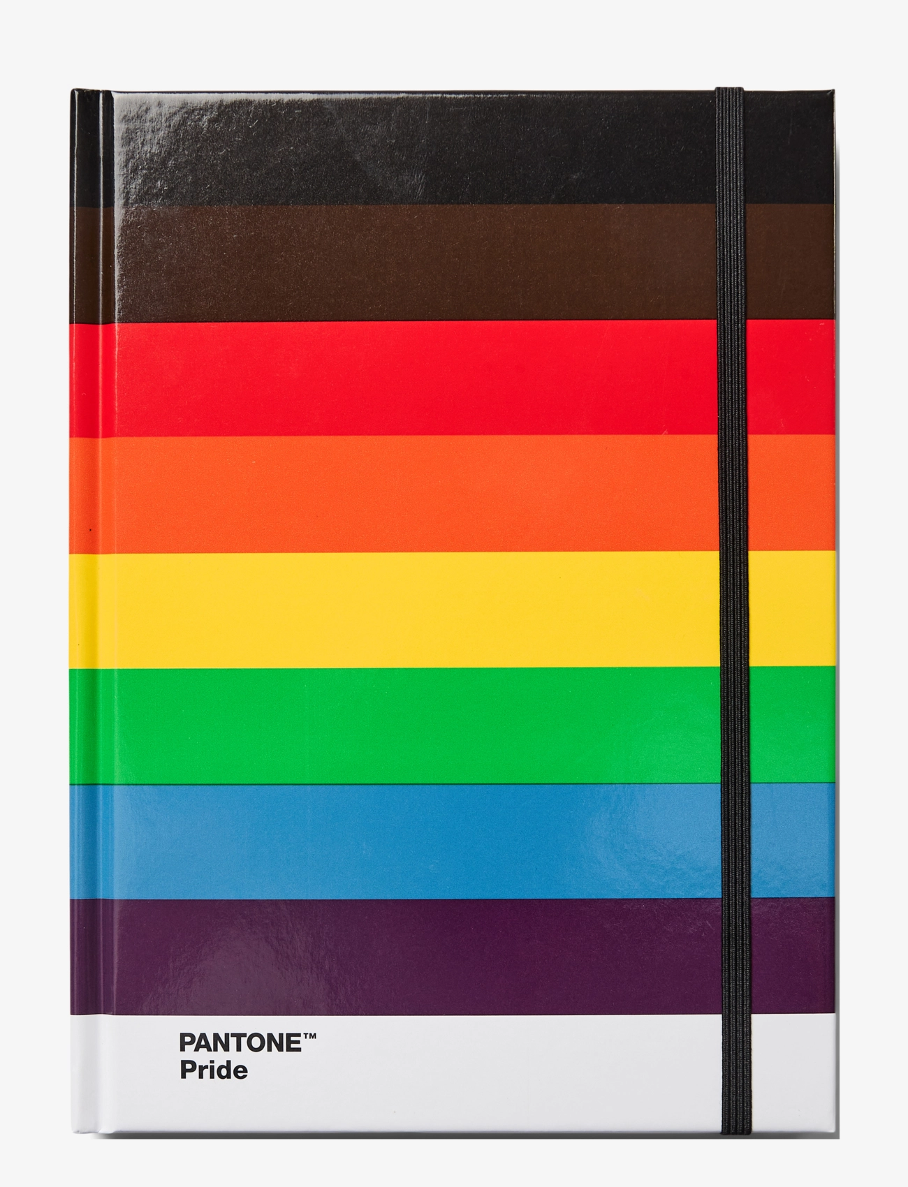 PANTONE PANTONE NOTEBOOK L DOTTED - Die niedrigsten Preise - PRIDE / multi
