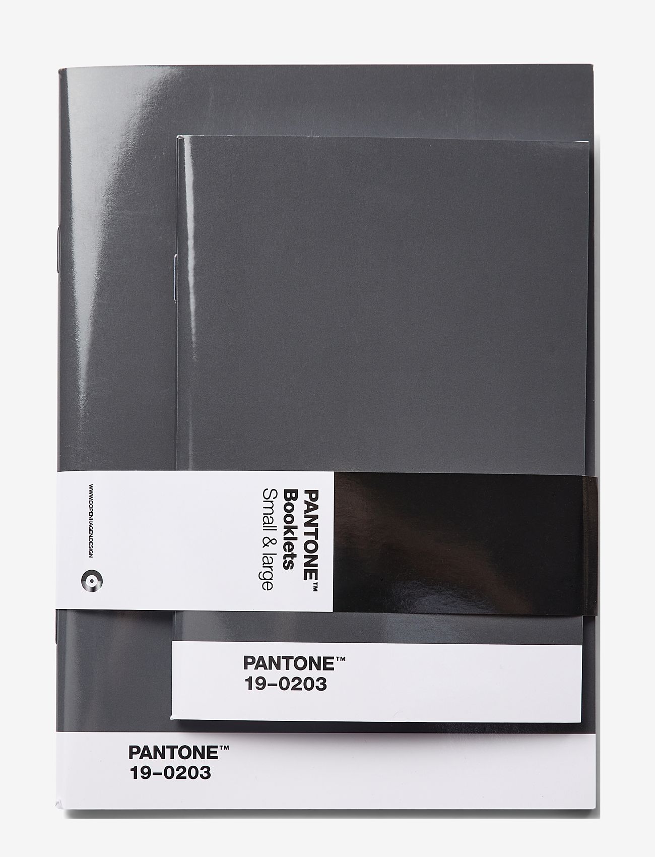 PANTONE - PANTONE BOOKLETS SET OF 2 DOTTED - mažiausios kainos - grey 19-0203 - 0
