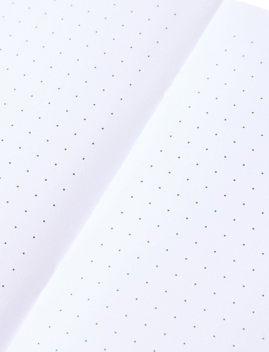 PANTONE - PANTONE BOOKLETS SET OF 2 DOTTED - achat par prix - green 16-6340 - 0