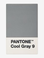 PANTONE - PANTONE CREDITCARD HOLDER IN MATTE AND GIFTBOX - kartenhalter - cool gray 9 - 0