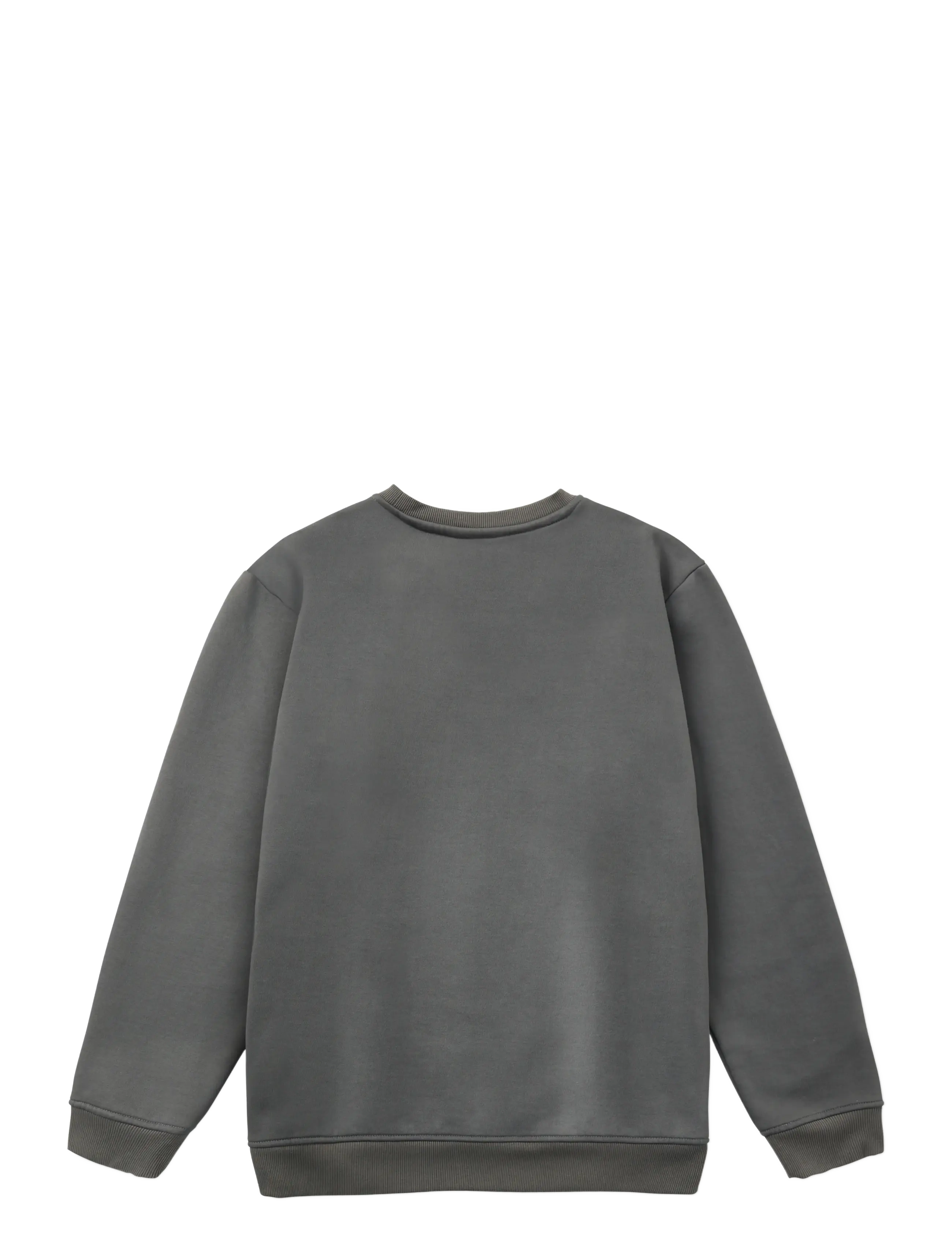 Copenhagen Legacy - SWEATSHIRTS CREWNECK WASHED - efterårsbesparelser - grey - 2