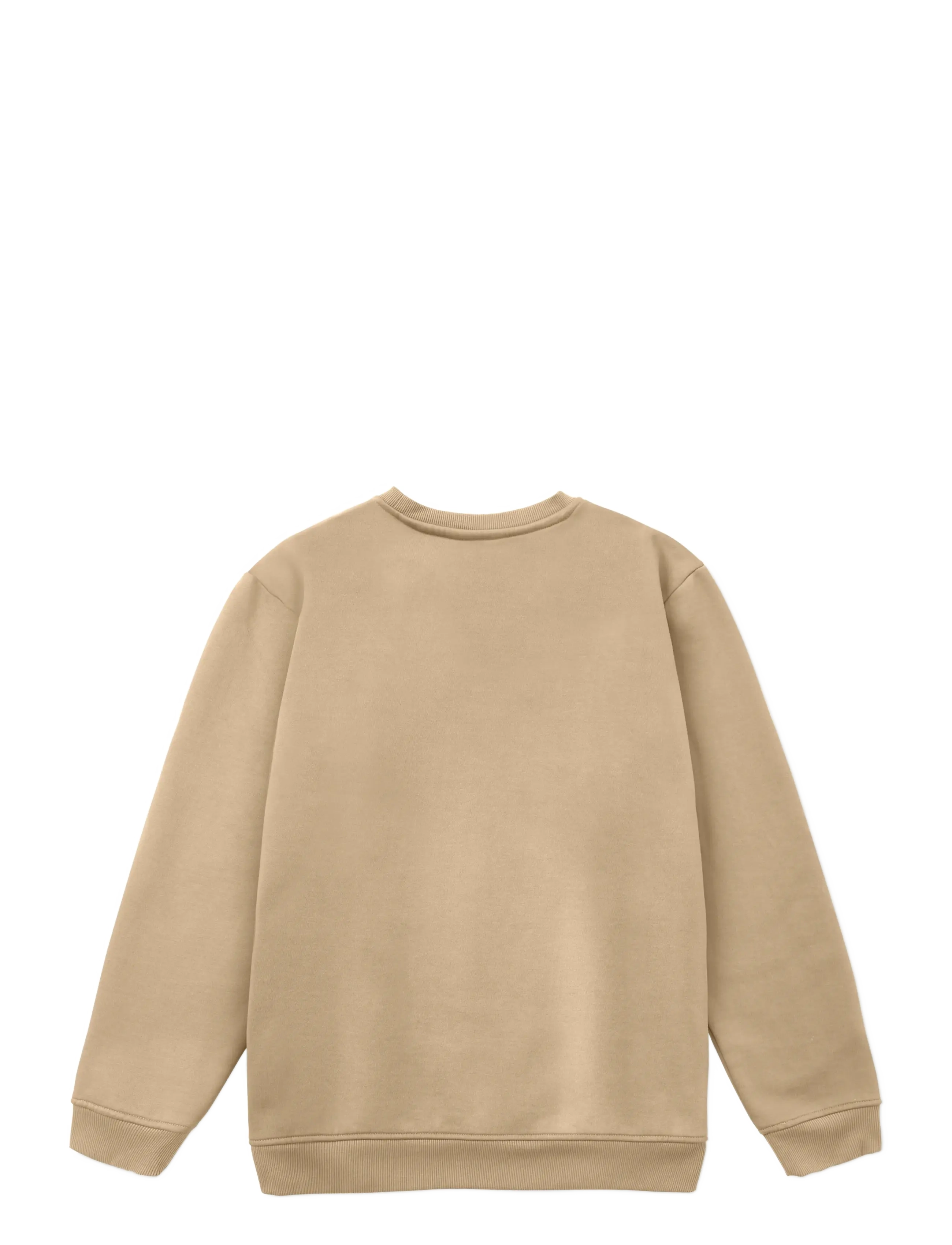 Copenhagen Legacy - SWEATSHIRTS CREWNECK WASHED - sügisene kokkuhoid - khaki - 2
