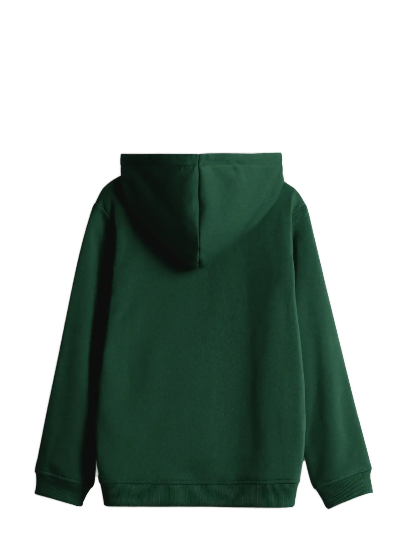 Copenhagen Legacy - KIDS HOODIE - herbstliche kleidung - green - 1