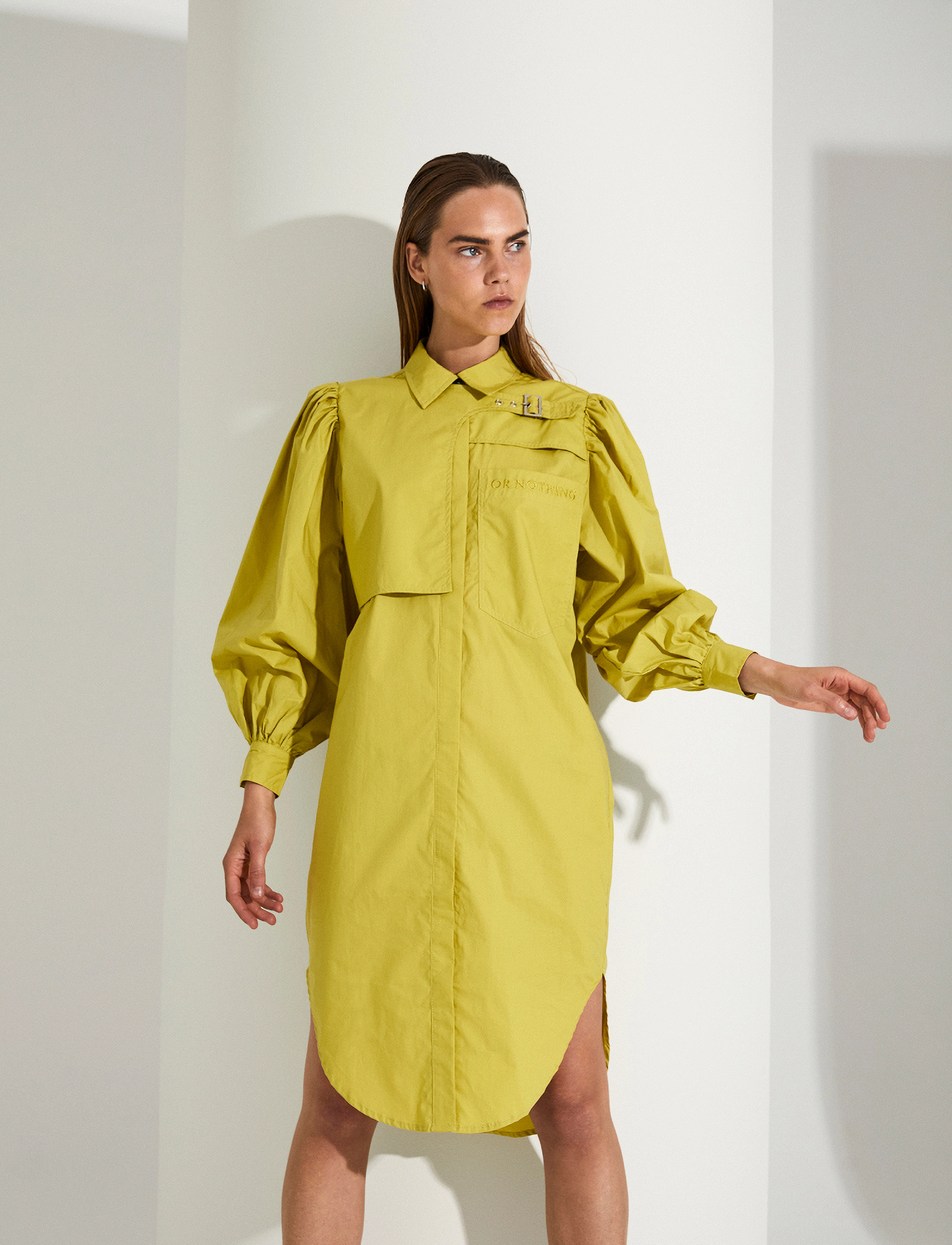 Copenhagen Muse - CMBLUR-SHIRT-DRESS - lentil sprout - 2