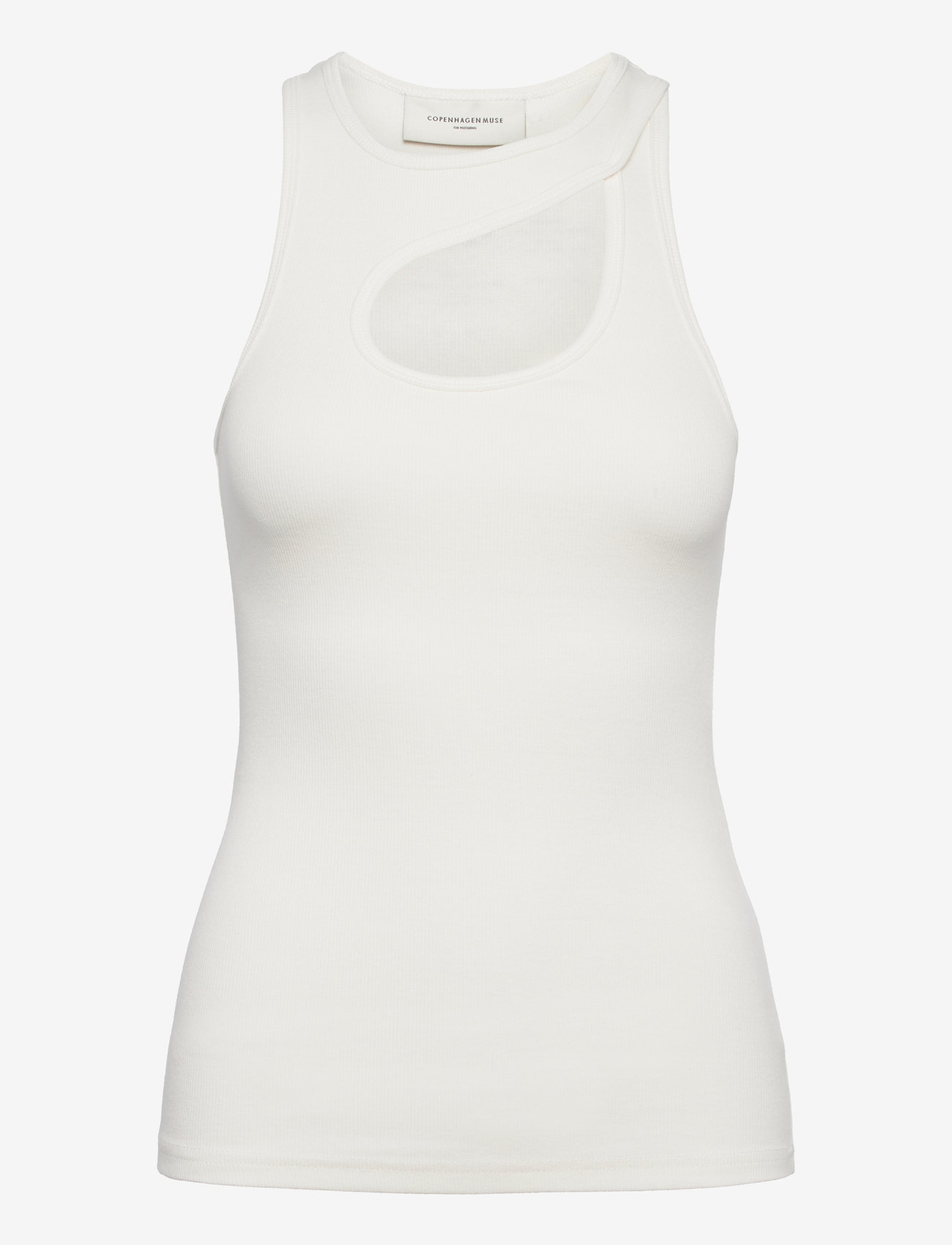 Copenhagen Muse - CMSIV-TOP - jet stream - 0