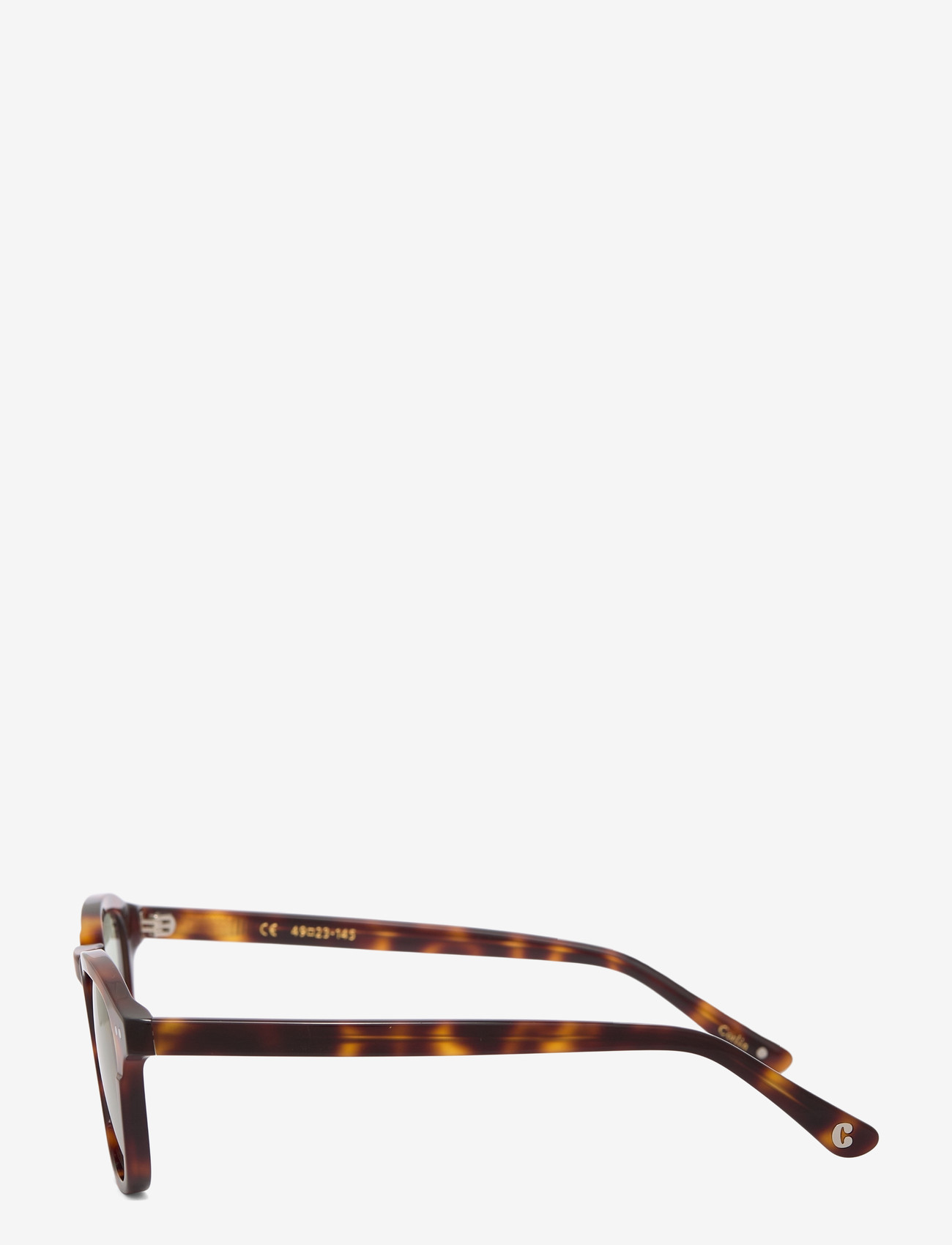 Corlin Eyewear - Todd Green - hringlaga rammar - tortoise - 2