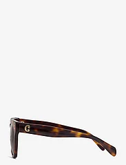 Corlin Eyewear - Monza - d-muotoiset aurinkolasit - monza tortoise brown - 2