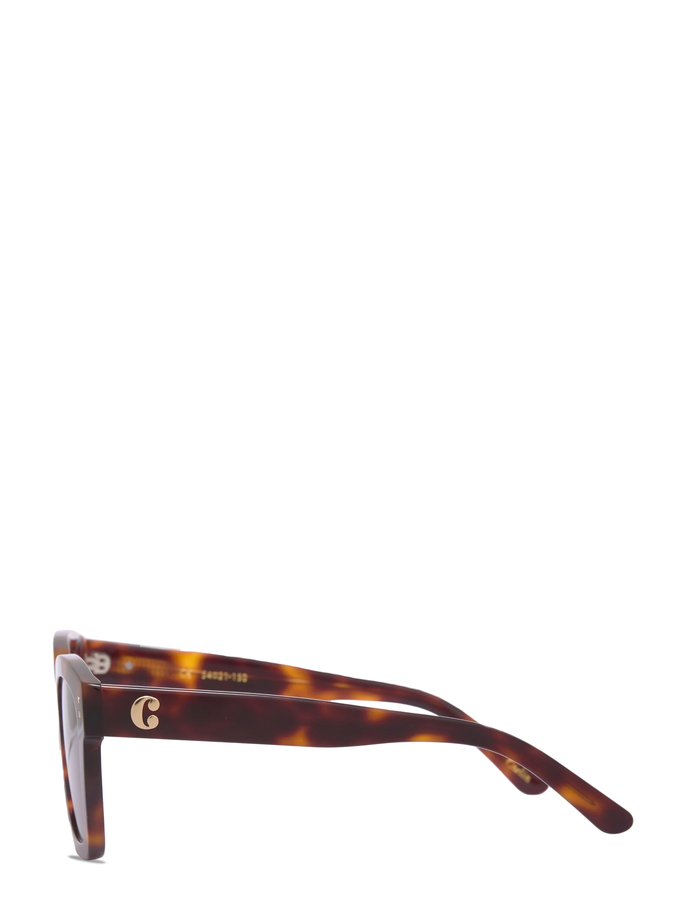 Corlin Eyewear - Modena Tortoise Brown - d-shaped - tortoise - 2