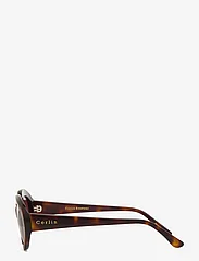 Corlin Eyewear - Kate - okulary przeciwsłoneczne okrągłe - tortoise - 2