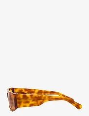 Corlin Eyewear - Hailey - firkantede solbriller - havana - 2