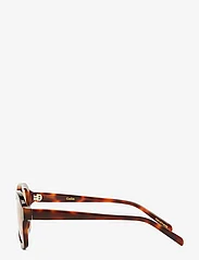 Corlin Eyewear - Pascal - okulary przeciwsłoneczne motyl - tortoise cinnamon - 3