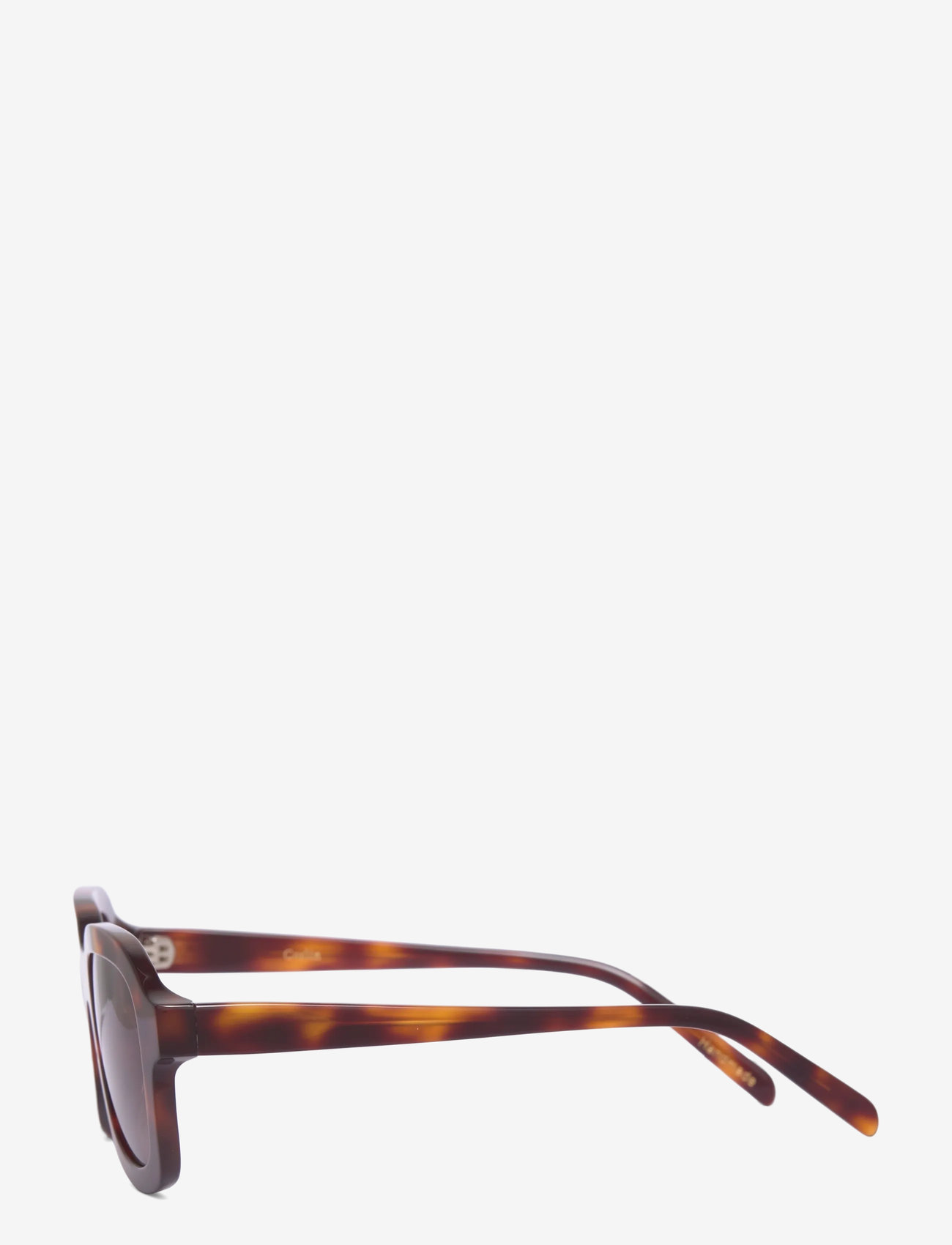Corlin Eyewear - Pascal Tortoise Brown - d-form - tortoise - 2