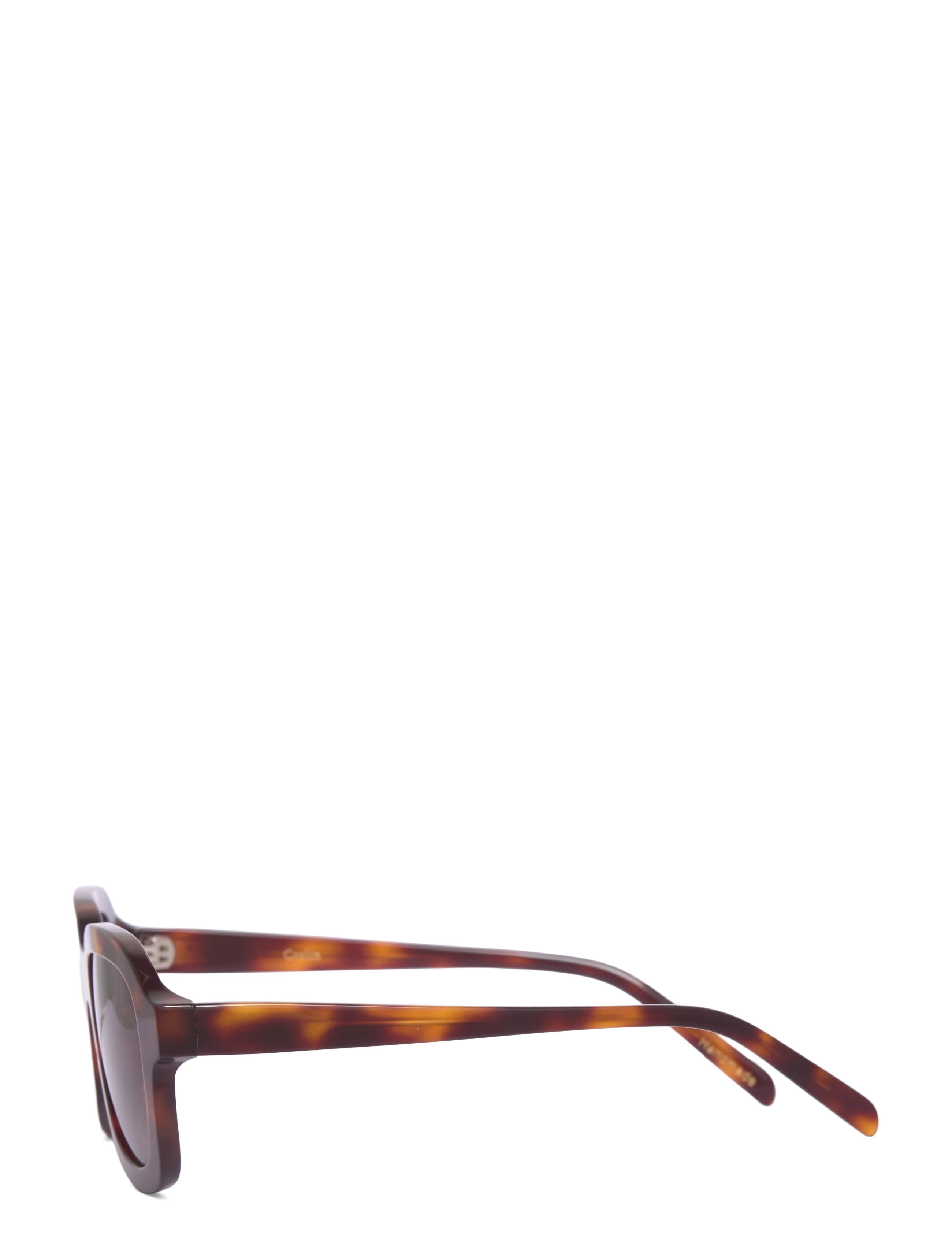Corlin Eyewear - Pascal Tortoise Brown - tortoise - 2