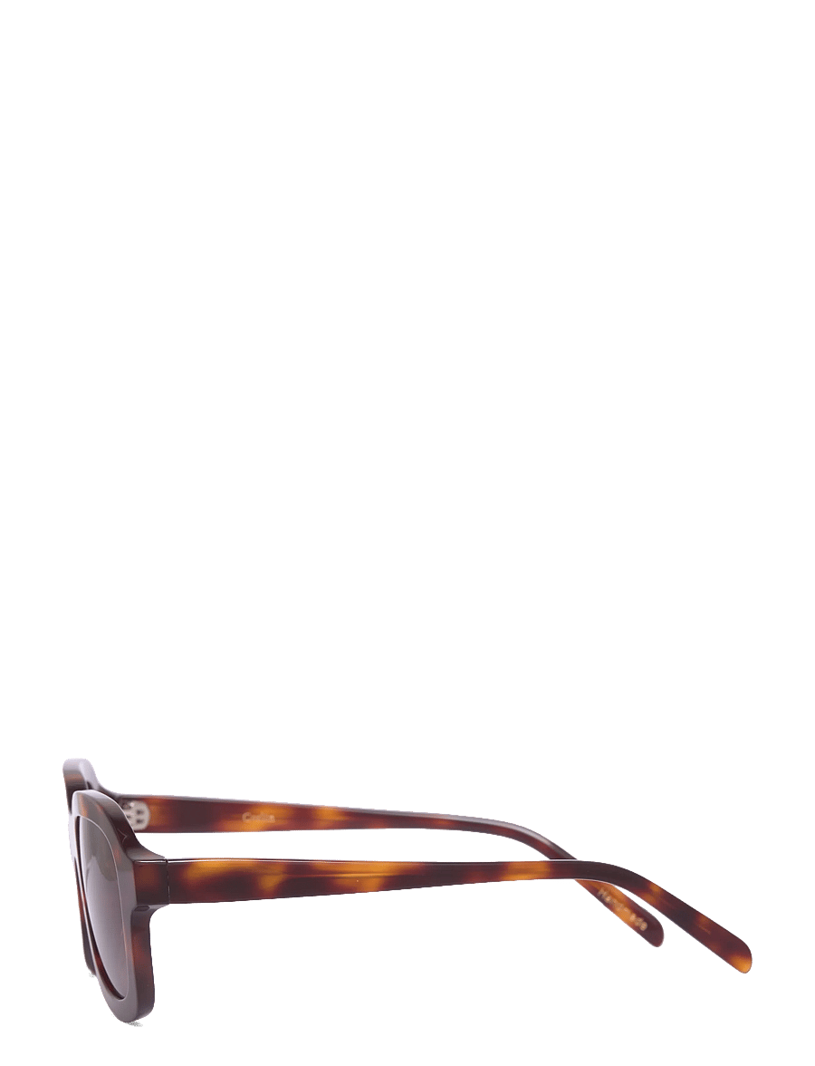Corlin Eyewear - Pascal Tortoise Brown - tortoise - 2