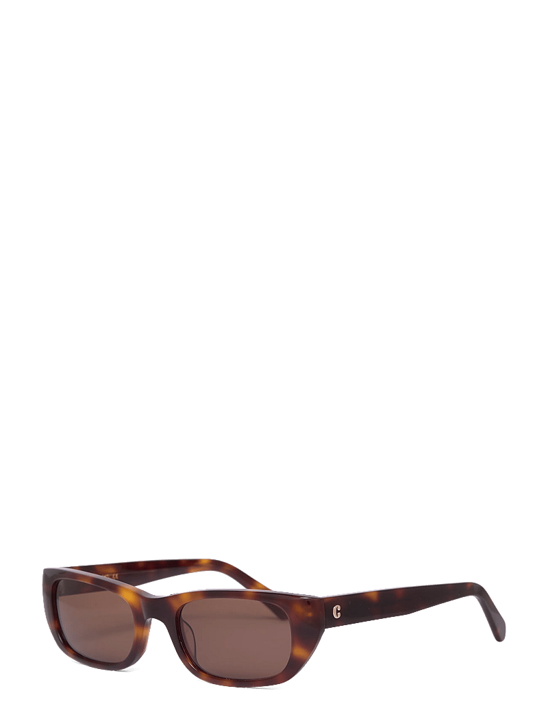 Corlin Eyewear - Marcel Tortoise Brown - d-shaped - tortoise - 2