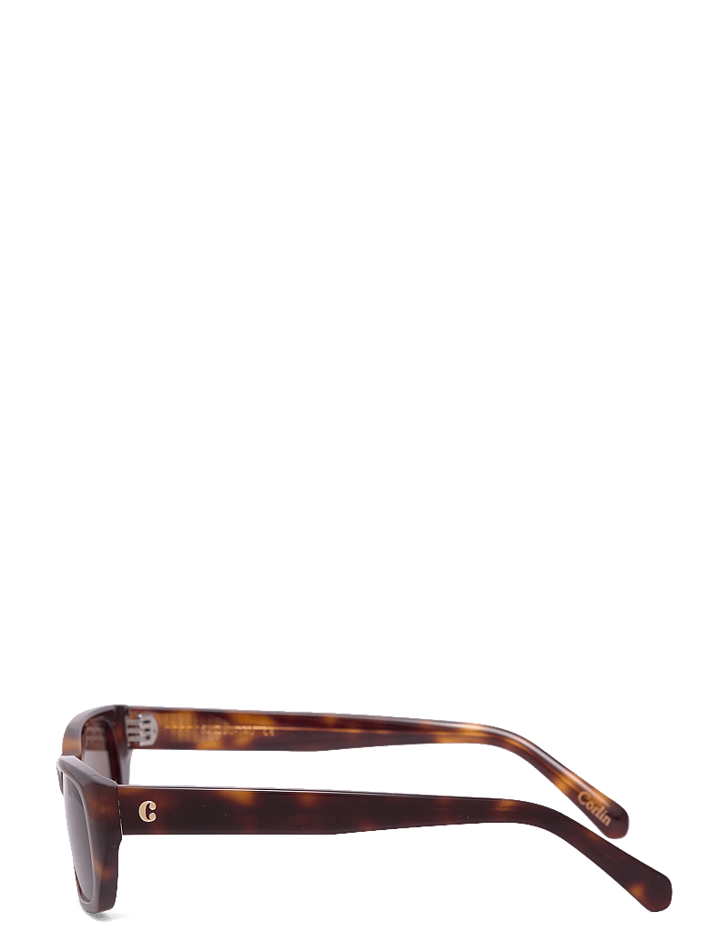 Corlin Eyewear - Marcel Tortoise Brown - d-shaped - tortoise - 3