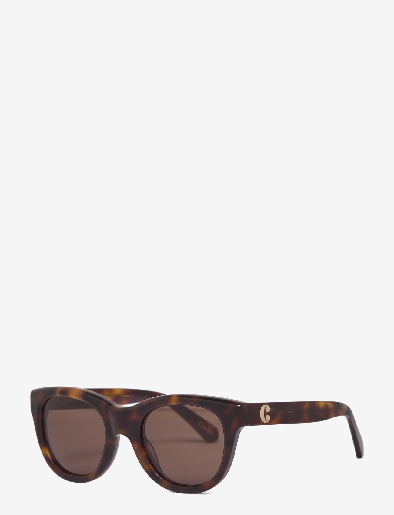 Corlin Eyewear - Rey Tortoise Brown - d-shaped - tortoise - 2