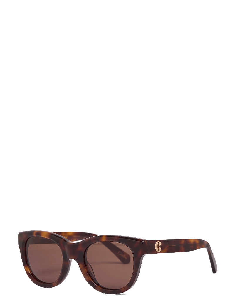 Corlin Eyewear - Rey Tortoise Brown - d-shaped - tortoise - 2