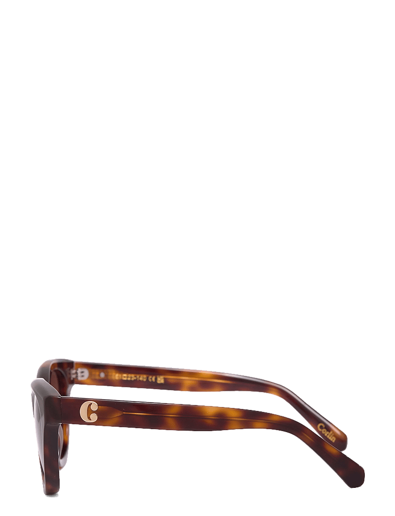 Corlin Eyewear - Rey Tortoise Brown - d-shaped - tortoise - 3