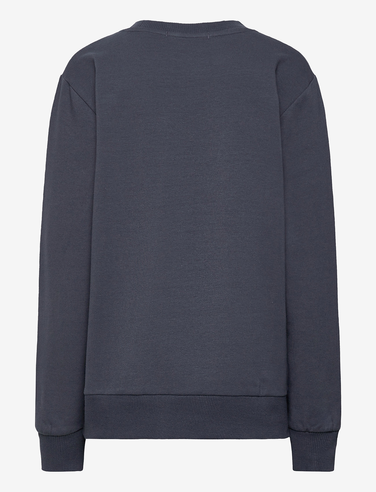 Costbart - KRESTEN L_S SWEAT - 19-4014 ombre blue - 1