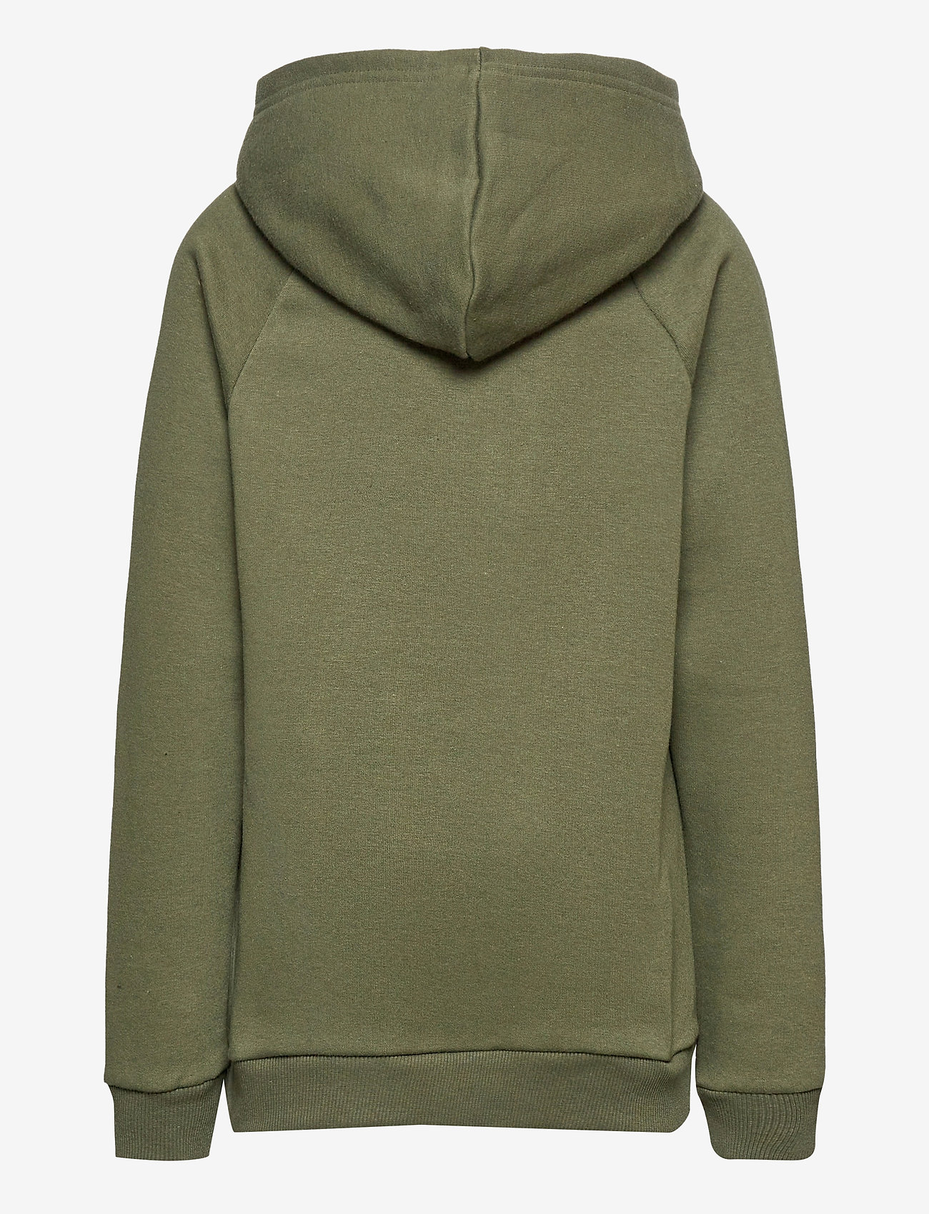 Costbart - AMSTERDAM L_S HOODIE '20 - forest night - 1