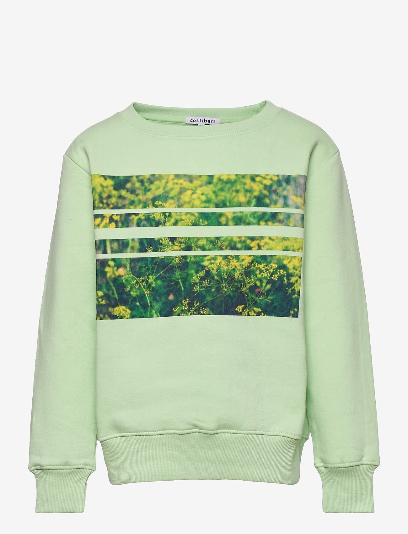 Costbart - MONRAD LS SWEAT - pastel green - 0